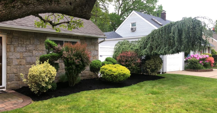 lnadscaping-borja-landscaping
